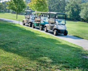 golf cart rentals on 30A, Miramar beach & Destin Florida